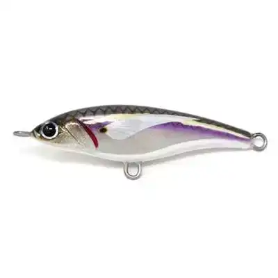 Pelagus 90-S