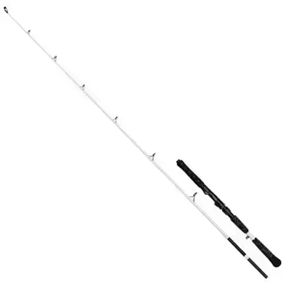 White Belly Cat - 1,80 m - 60 tot 150 gram