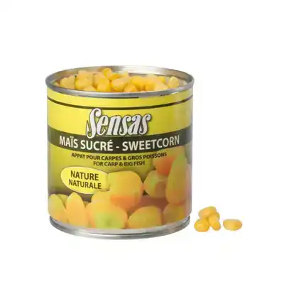 Sweetcorn
