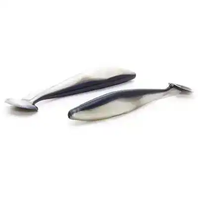 Swimfish