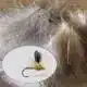CDC Veren - Chartreuse
