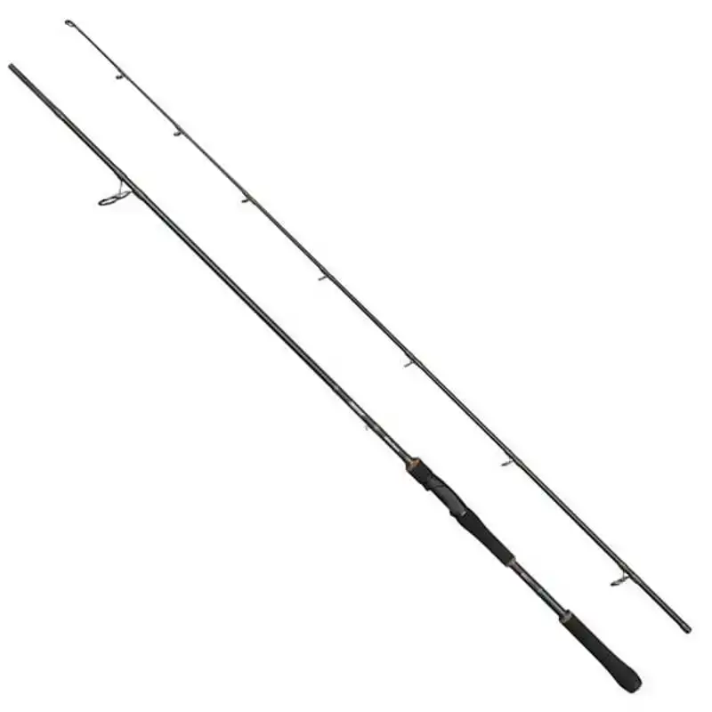 Beast X Spinning - 2,51 m - 30/110 gram