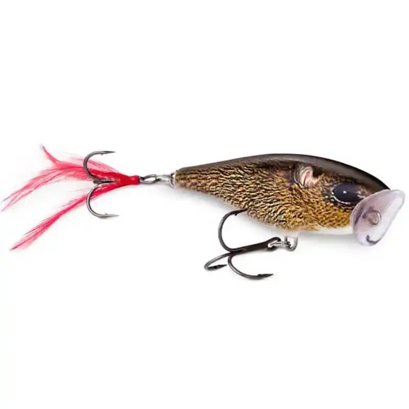 Skitter Pop - 5 cm - CH