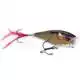 Skitter Pop - 5 cm - CH
