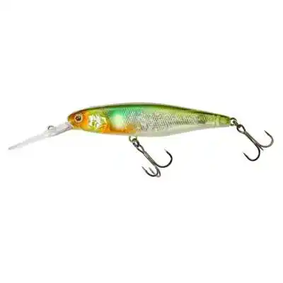 DD Squirrel 79 SP