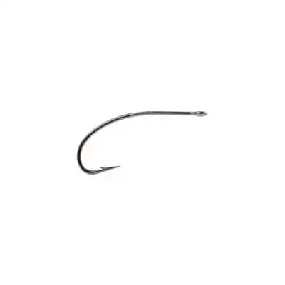 CS54BN - Saltwater Shrimp