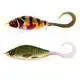 Guppie Junior - C778