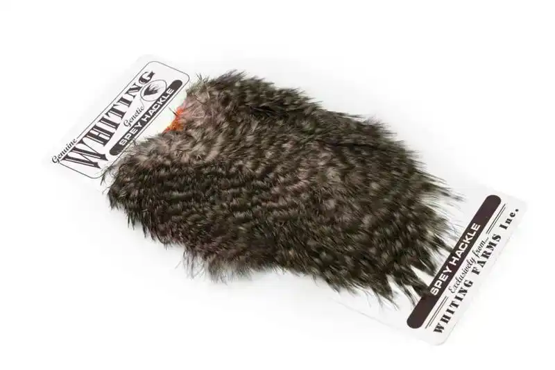 Spey Hackle Hen Saddle Grizzly dyed Shell Pink