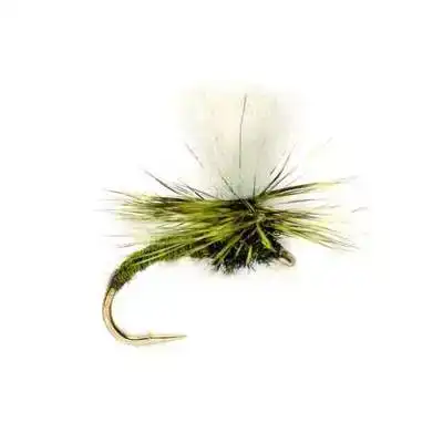 Klink Light Olive
