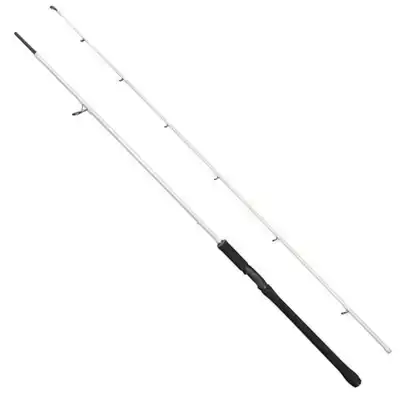 Beast X Trolling Spinning - 2,49 m - 30/110 gram