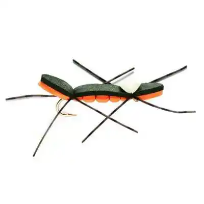 Chernobyl Ant