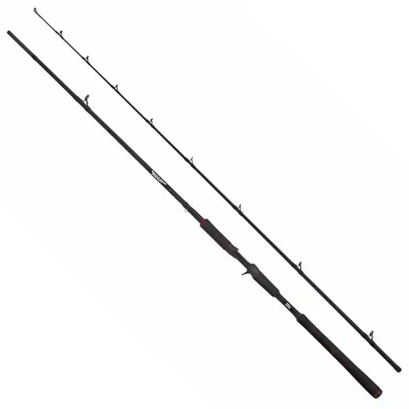 Beast Casting - 2,44 m - 30/100 gram