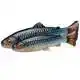 Craft Trout Pulsetail - 16 cm - Brown Trout Smolt