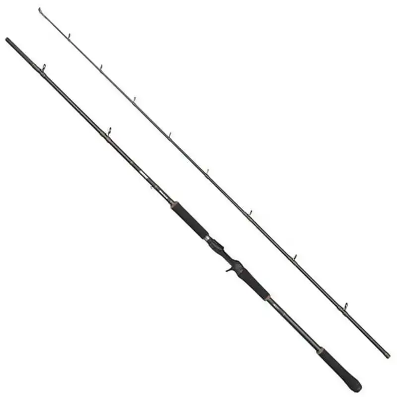 Beast X Extreme Casting - 2,49 m - 100/280 gram