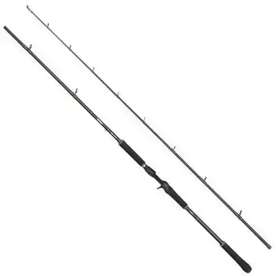 Beast X Extreme Casting - 2,49 m - 100/280 gram