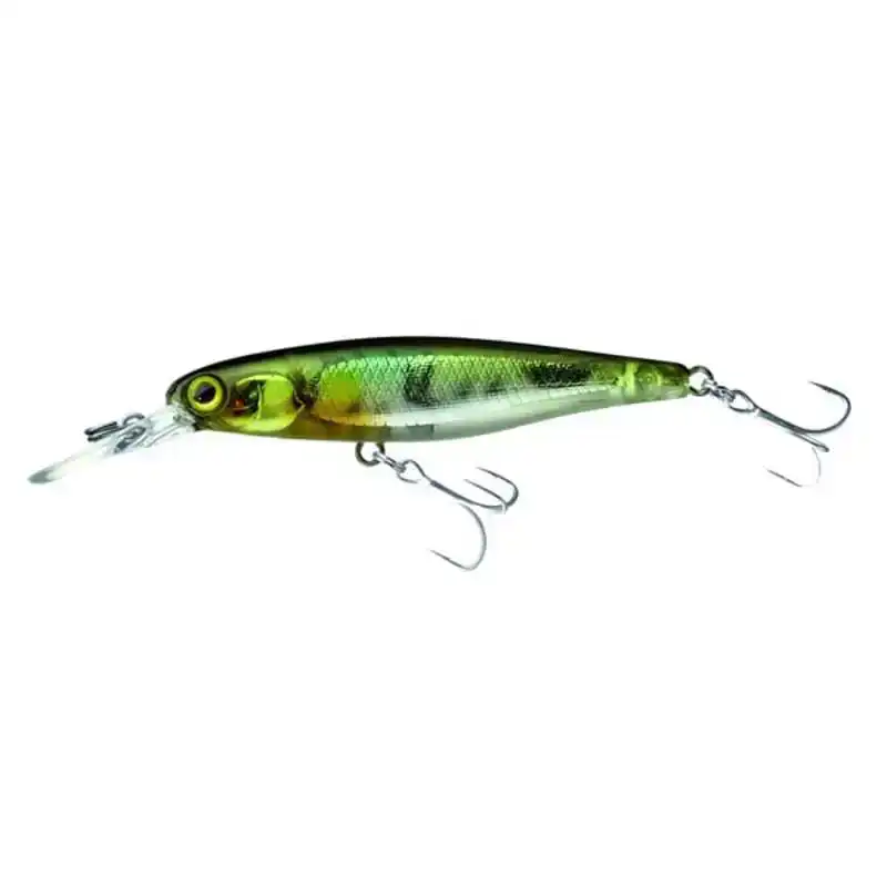 Squirrel 61 SP - Mat Tiger