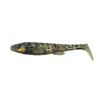 U-Shad