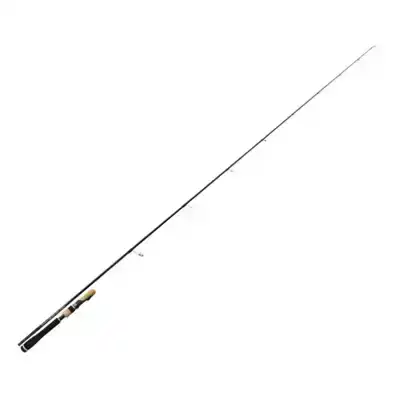 Injection Fast Finess MH