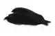 4 B's Hen Cape Black