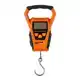 Digital Scale SW
