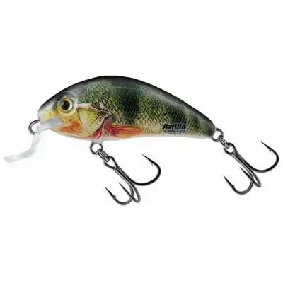 Rattlin' Hornet Shallow