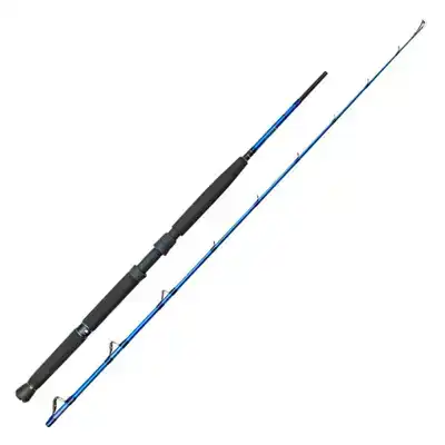 W6 Boat - 195 cm - 20/30 lbs