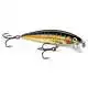 X-Rap Magnum Cast - HDBTO