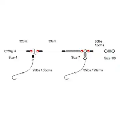 2 Hook Clipped Rig