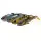 Craft Cannibal Paddletail - 8,5 cm - Green Silver