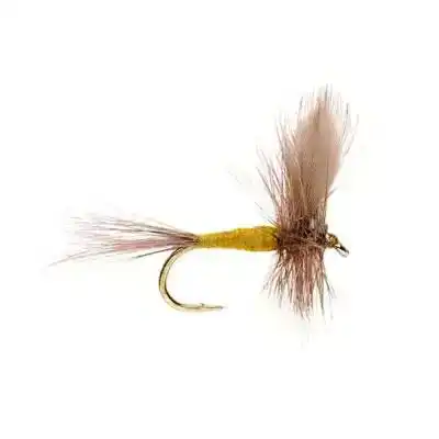 Blue Winged Olive