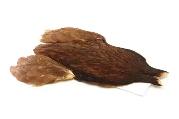 4 B's Hen Cape