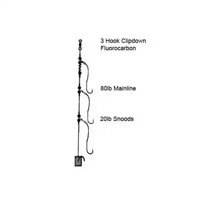 3 Hook Clipdown Fluorocarbon Rig