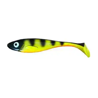 Gum Shad