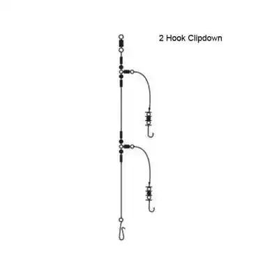 2 Hook Clipdown Rig