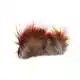 Golden Pheasant Feathers Strung - Red Feathers