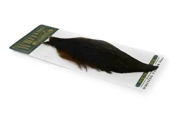 Hebert Hen Cape Black