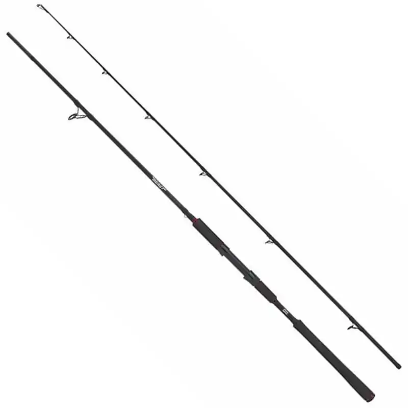 Beast Spinning - 2,44 m - 40/90 gram