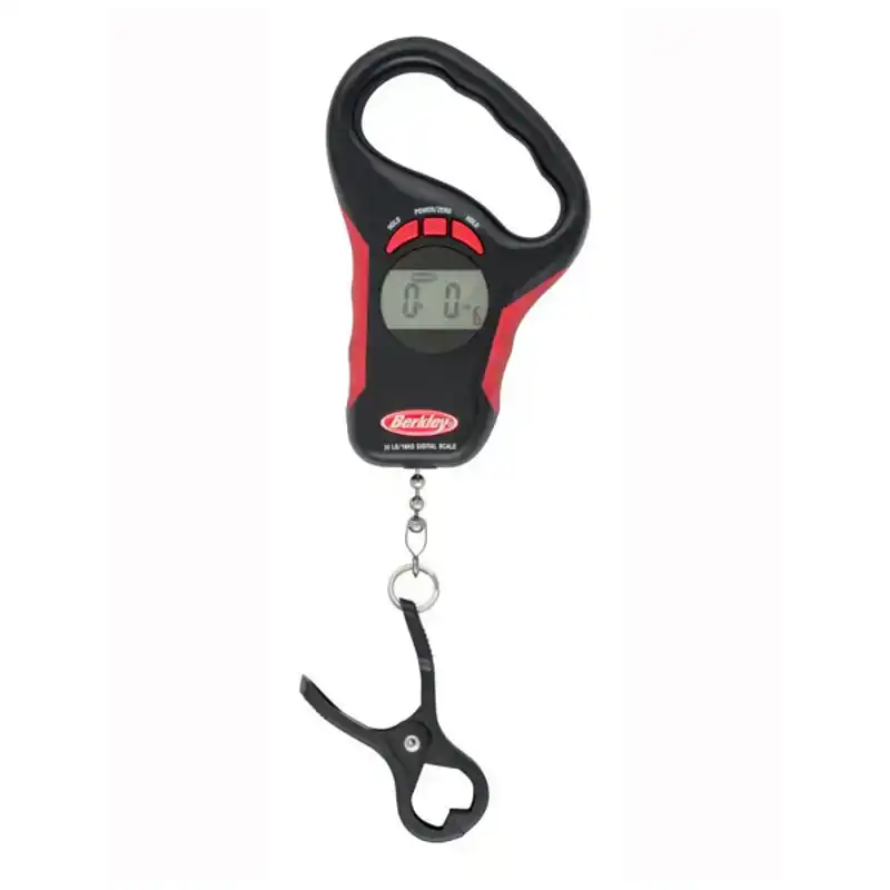Digital Scale