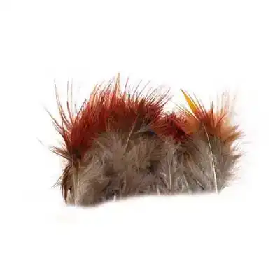 Golden Pheasant Feathers Strung