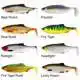 Ricky The Roach SL/ST - 10 cm - Fire Tiger