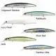 Beach Walker Guado 130S - Chigomori Sardine