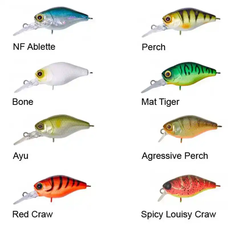 Chubby 38 MR - Agressive Perch
