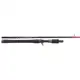 Injection BC 76 H