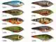 Buster Swimbait - C076