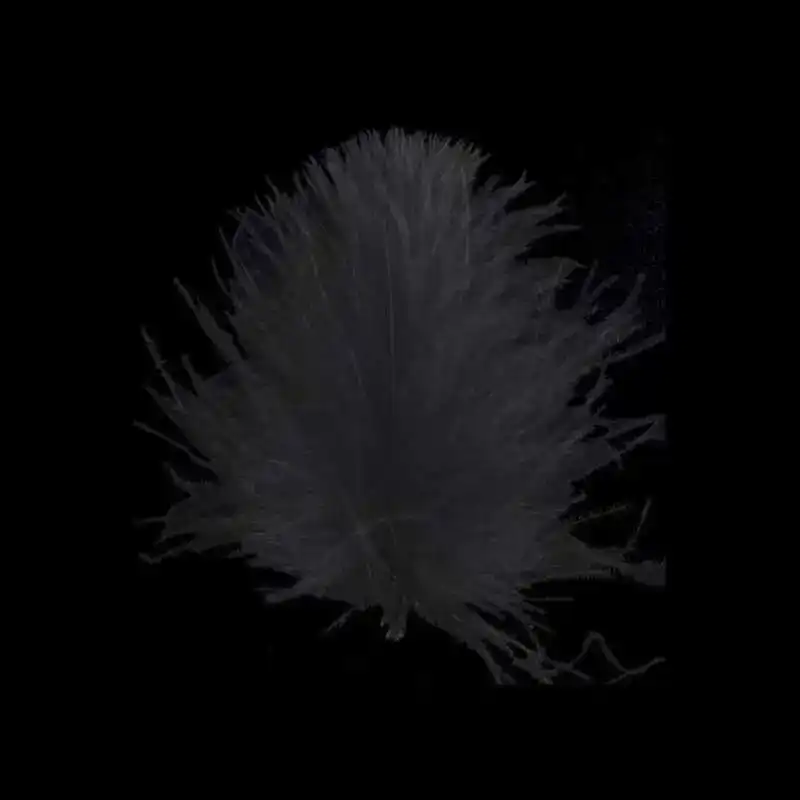 CDC Feathers Super Select - 01 White
