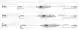 Adjusta Basic River Rig - Livebait - Maat: L