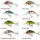 Hornet 9 - Mirror Carp