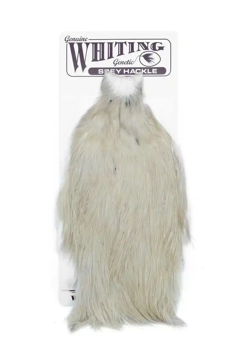 Spey Hackle Hen Cape Pale Watery Dun
