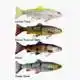 4D Line Thru Trout - 20 cm - Moderate Sink - Fire Trout