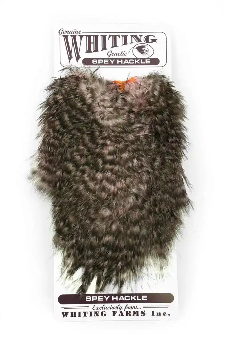 Spey Hackle Hen Saddle Grizzly dyed Shell Pink